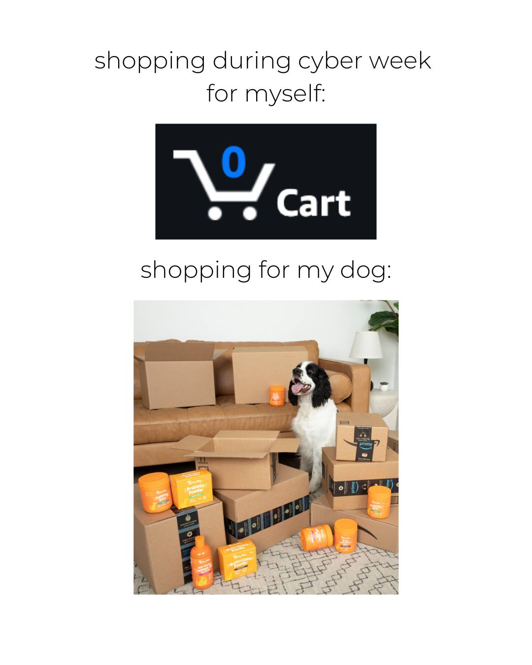 Zesty Paws Black Friday ad
