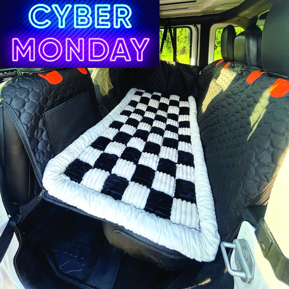 RuffRover Black Friday ad
