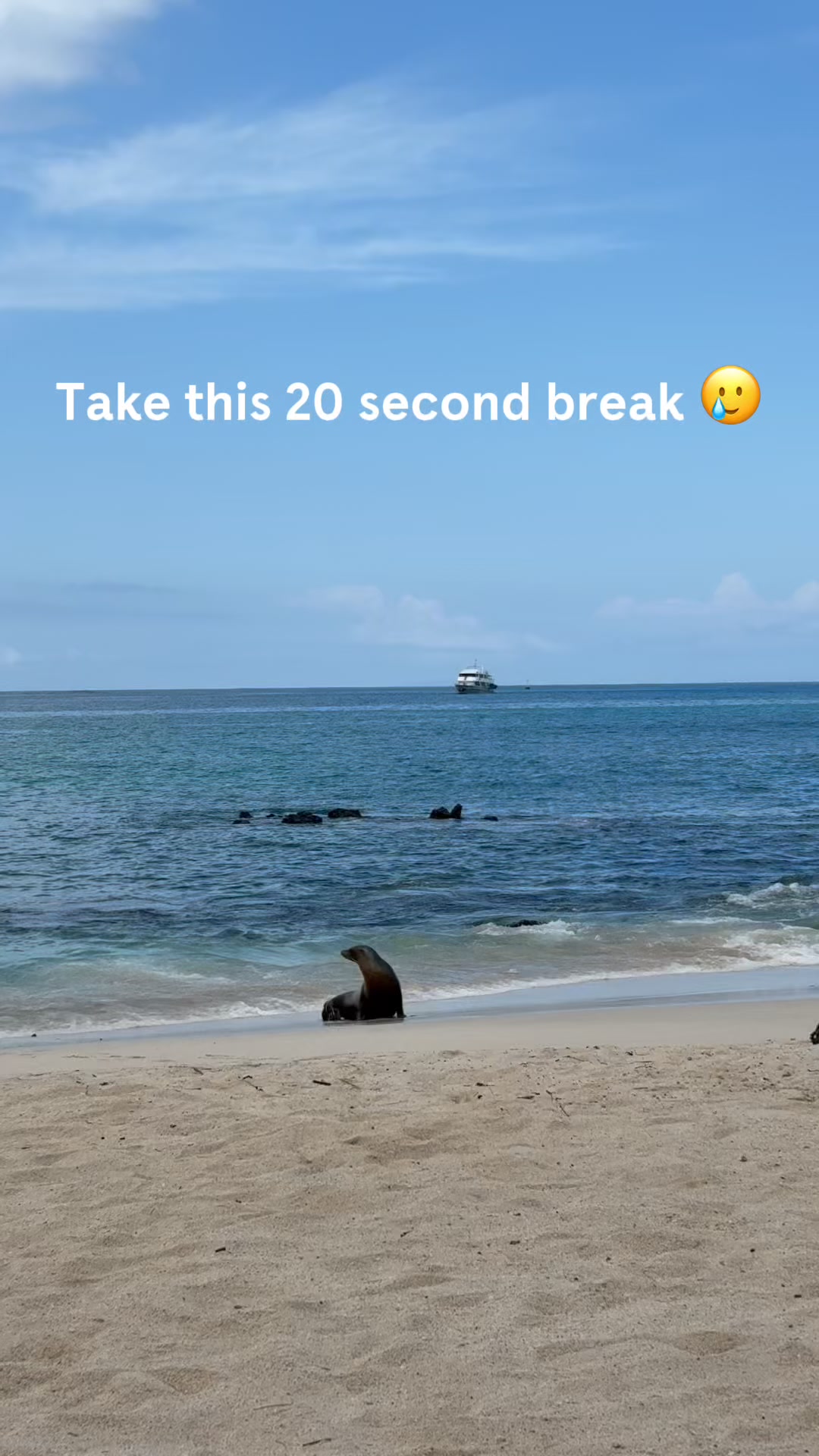 Headspace video ad — Feel More Present & Focused