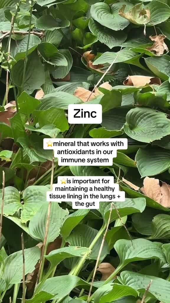 Athletic Greens (AG1) video ad — Simplify Your Supplement Routine