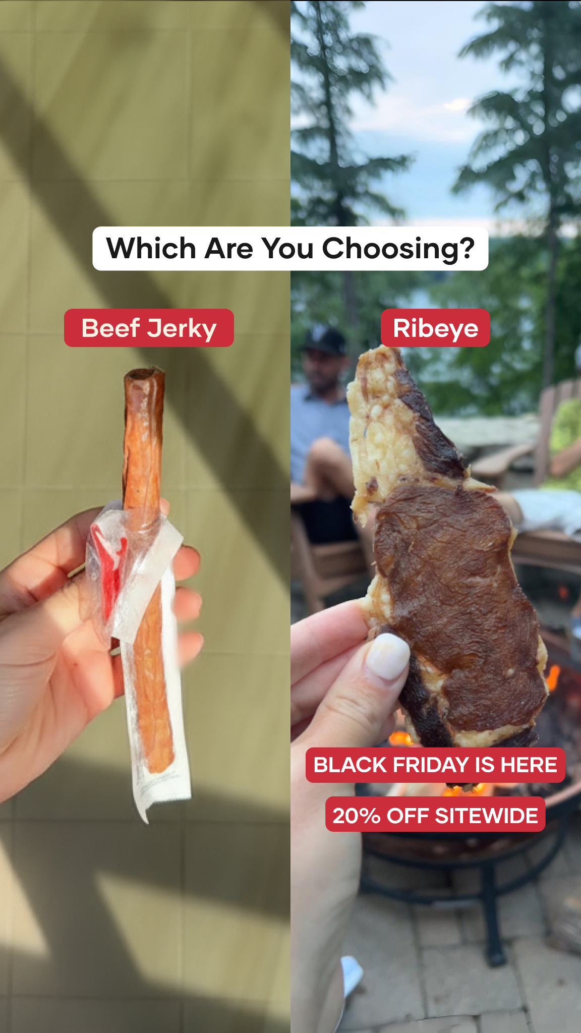 Carnivore Snax Black Friday ad