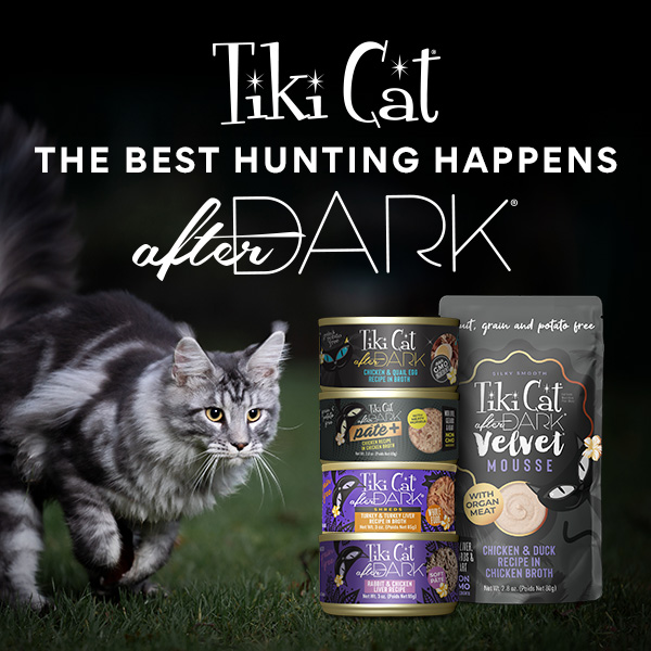 Chewy image ad — The Best Hunting Happens After Dark