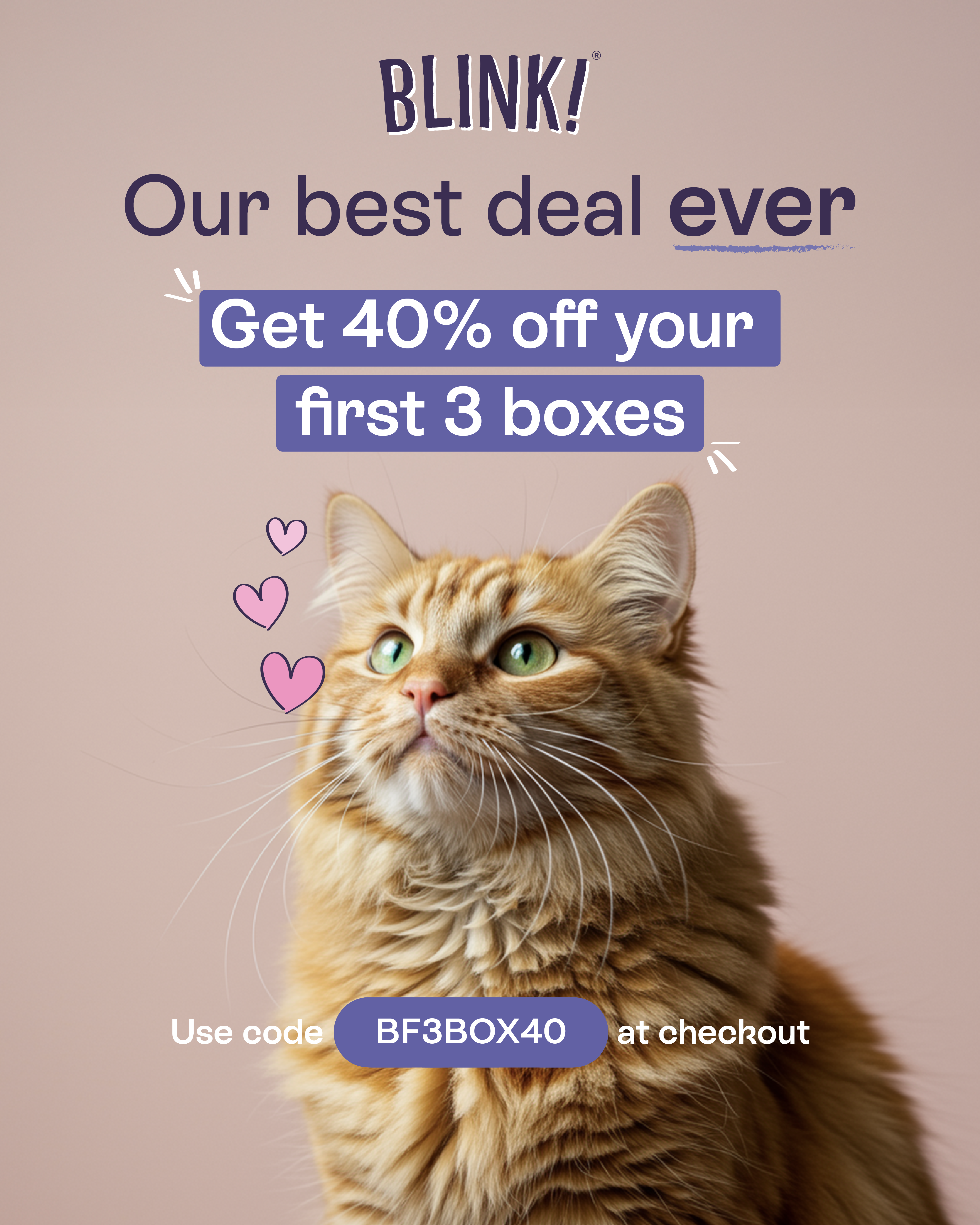 Blink Cat Food Black Friday ad