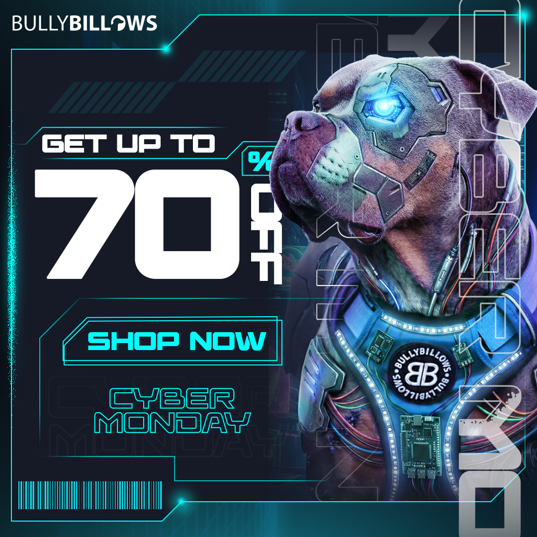 BullyBillows Black Friday ad