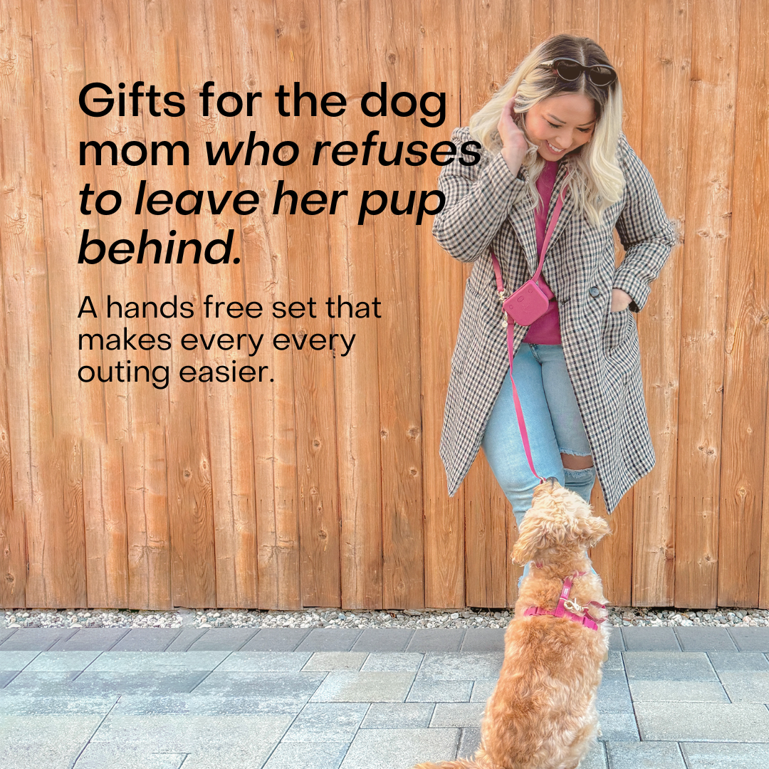 Shop Sunny Tails Black Friday ad