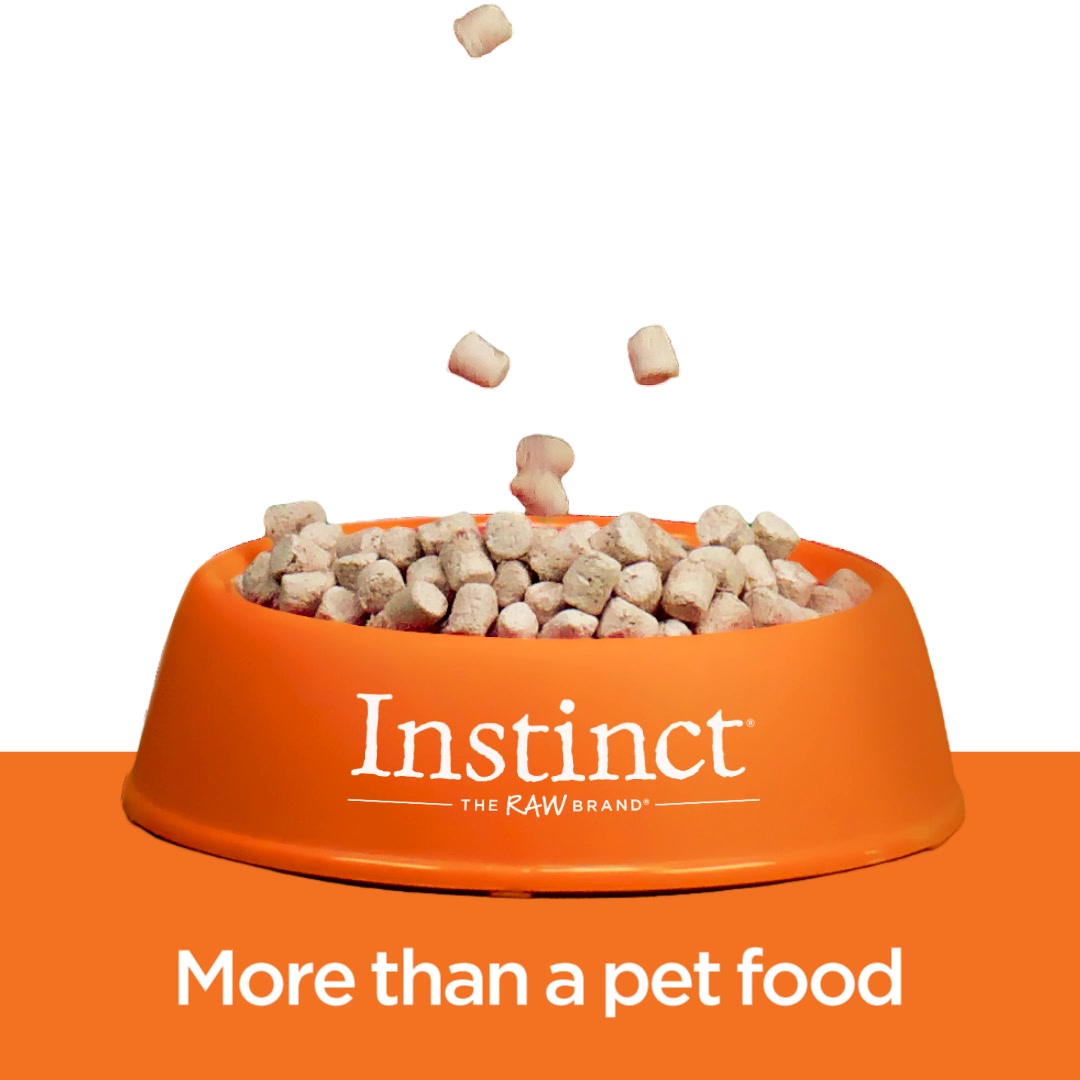 Chewy video ad — Instinct Freeze-Dried Meals