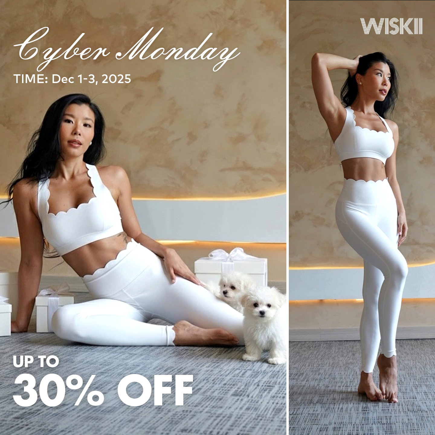 WISKII Active Black Friday ad